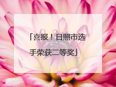 喜报！日照市选手荣获二等奖