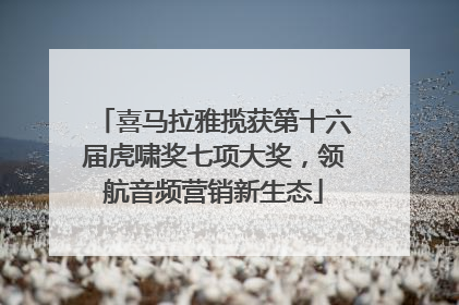 喜马拉雅揽获第十六届虎啸奖七项大奖，领航音频营销新生态