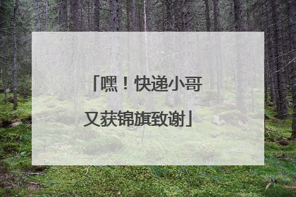 嘿！快递小哥又获锦旗致谢