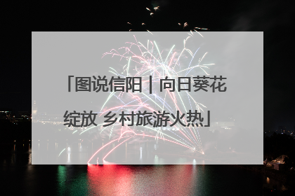图说信阳｜向日葵花绽放 乡村旅游火热