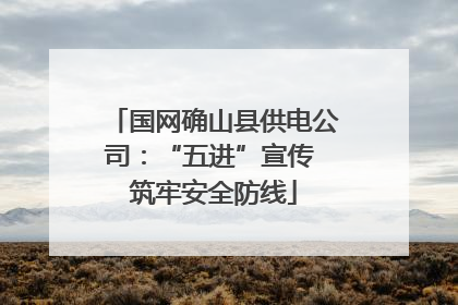 国网确山县供电公司：“五进”宣传 筑牢安全防线