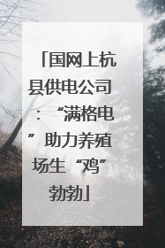 国网上杭县供电公司：“满格电”助力养殖场生“鸡”勃勃