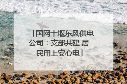 国网十堰东风供电公司：支部共建 居民用上安心电