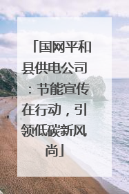 国网平和县供电公司：节能宣传在行动，引领低碳新风尚
