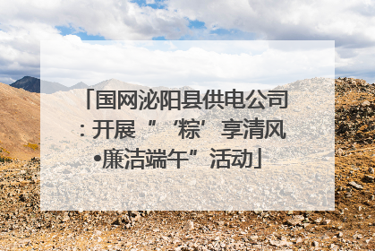 国网泌阳县供电公司：开展“‘粽’享清风 •廉洁端午”活动