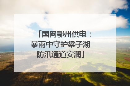国网鄂州供电：暴雨中守护梁子湖防汛通道安澜
