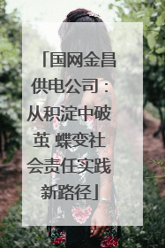 国网金昌供电公司：从积淀中破茧 蝶变社会责任实践新路径