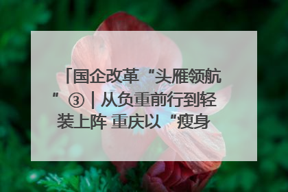 国企改革“头雁领航”③｜从负重前行到轻装上阵 重庆以“瘦身”谋“健体”