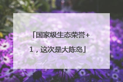 国家级生态荣誉+1，这次是大陈岛