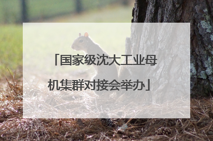 国家级沈大工业母机集群对接会举办