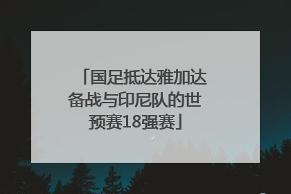 国足抵达雅加达备战与印尼队的世预赛18强赛