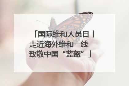 国际维和人员日丨走近海外维和一线 致敬中国“蓝盔”