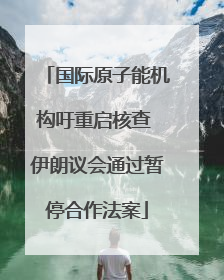 国际原子能机构吁重启核查 伊朗议会通过暂停合作法案