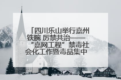 四川乐山举行嘉州铁腕 厉禁共治——“嘉网工程”禁毒社会化工作暨毒品集中销毁启动仪式