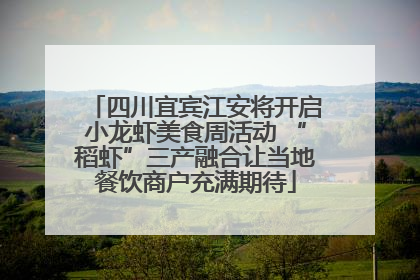 四川宜宾江安将开启小龙虾美食周活动 “稻虾”三产融合让当地餐饮商户充满期待
