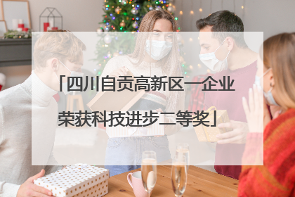 四川自贡高新区一企业荣获科技进步二等奖