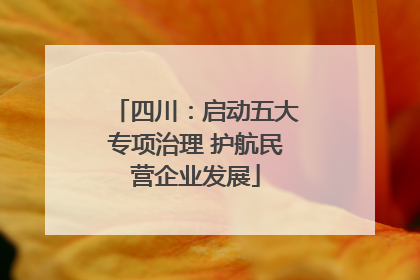 四川：启动五大专项治理 护航民营企业发展