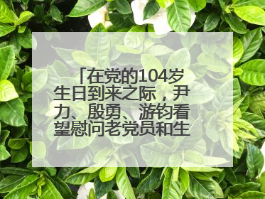 在党的104岁生日到来之际，尹力、殷勇、游钧看望慰问老党员和生活困难党员