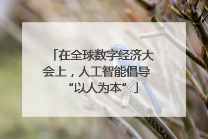 在全球数字经济大会上，人工智能倡导“以人为本”