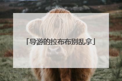 导游的拉布布别乱拿