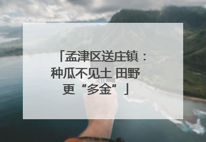 孟津区送庄镇：种瓜不见土 田野更“多金”