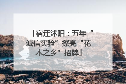 宿迁沭阳：五年“诚信实验”擦亮“花木之乡”招牌