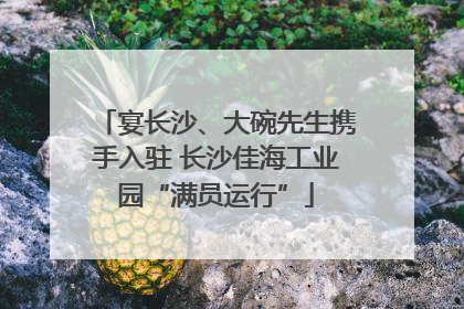 宴长沙、大碗先生携手入驻 长沙佳海工业园“满员运行”