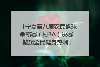 宁夏第八届农民篮球争霸赛（村BA）决赛掀起全民健身热潮