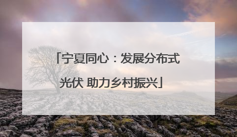 宁夏同心：发展分布式光伏 助力乡村振兴
