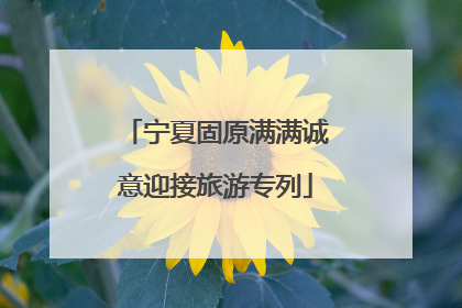 宁夏固原满满诚意迎接旅游专列
