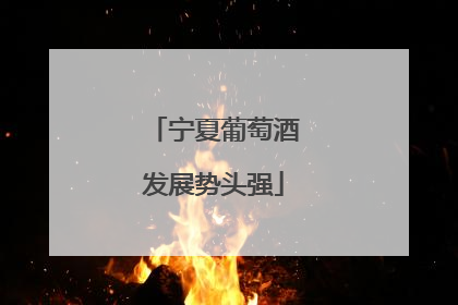 宁夏葡萄酒发展势头强