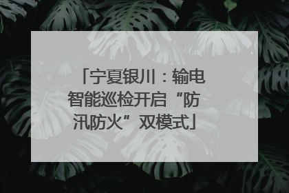 宁夏银川：输电智能巡检开启“防汛防火”双模式