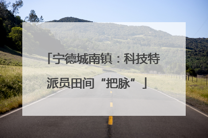 宁德城南镇：科技特派员田间“把脉”