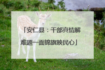 安仁县：干部真情解难题一面锦旗映民心