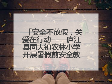 安全不放假，关爱在行动——庐江县同大镇农林小学开展暑假前安全教育大家访