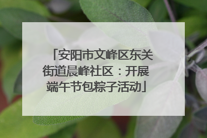 安阳市文峰区东关街道晨峰社区：开展端午节包粽子活动