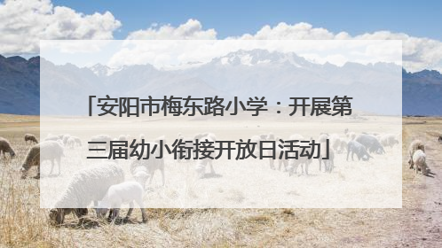 安阳市梅东路小学：开展第三届幼小衔接开放日活动