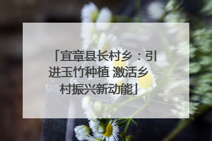 宜章县长村乡：引进玉竹种植 激活乡村振兴新动能