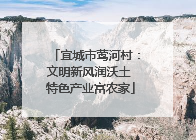 宜城市莺河村：文明新风润沃土 特色产业富农家