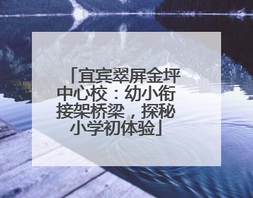 宜宾翠屏金坪中心校：幼小衔接架桥梁，探秘小学初体验