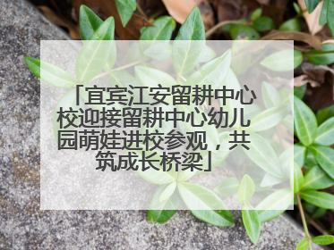 宜宾江安留耕中心校迎接留耕中心幼儿园萌娃进校参观，共筑成长桥梁