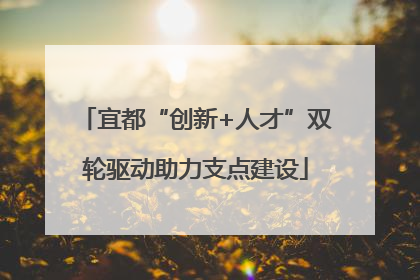 宜都“创新+人才”双轮驱动助力支点建设