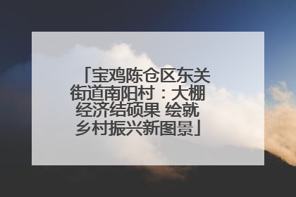 宝鸡陈仓区东关街道南阳村：大棚经济结硕果 绘就乡村振兴新图景