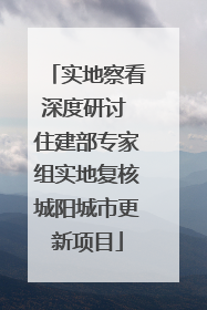 实地察看深度研讨 住建部专家组实地复核城阳城市更新项目