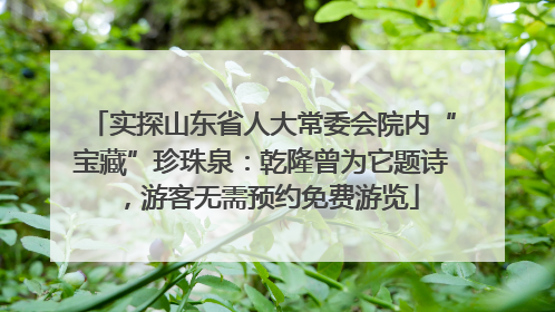 实探山东省人大常委会院内“宝藏”珍珠泉：乾隆曾为它题诗，游客无需预约免费游览
