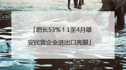 增长53%！1至4月雄安民营企业进出口亮眼