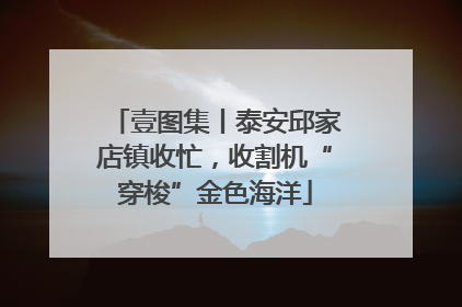 壹图集丨泰安邱家店镇收忙，收割机“穿梭”金色海洋