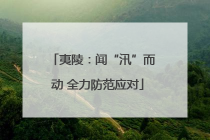 夷陵：闻“汛”而动 全力防范应对