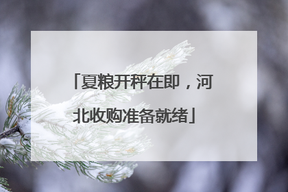 夏粮开秤在即，河北收购准备就绪