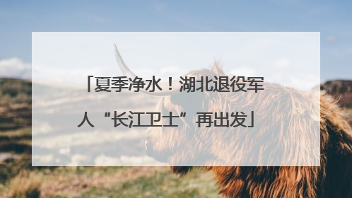 夏季净水！湖北退役军人“长江卫士”再出发